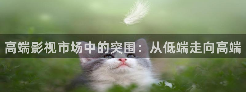 97午夜电影在线观看